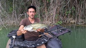 Largemouth Bass