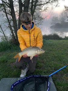Mirror Carp
