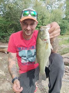 Largemouth Bass