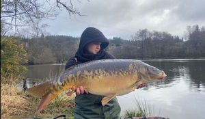 Mirror Carp