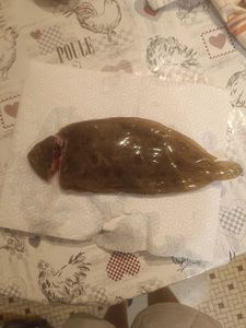 Sole