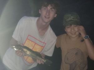 Zander