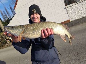 Northern Pike