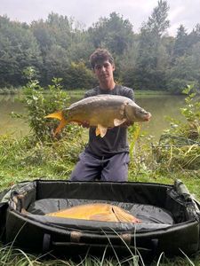 Mirror Carp