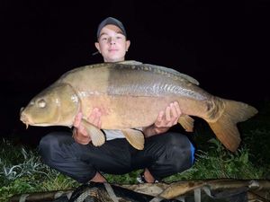 Mirror Carp