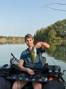 Largemouth Bass
