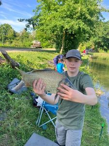 Common Carp