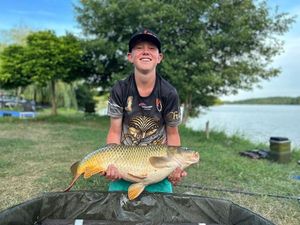 Common Carp