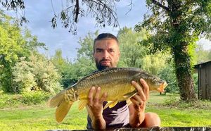 Mirror Carp