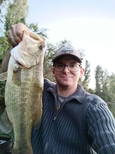 Largemouth Bass