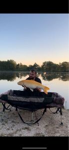 Koï Fish