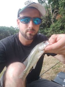 Largemouth Bass