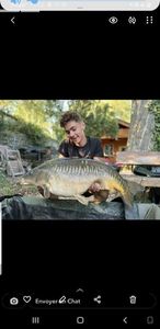 Mirror Carp