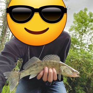 Zander