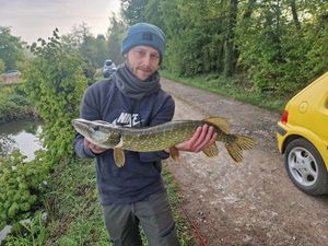 Northern Pike