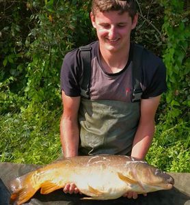 Mirror Carp