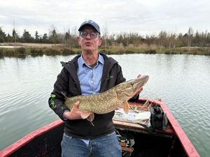 Northern Pike
