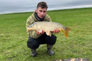 Mirror Carp