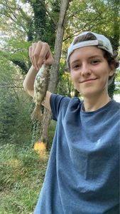 Largemouth Bass