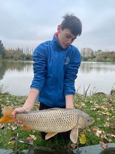 Common Carp