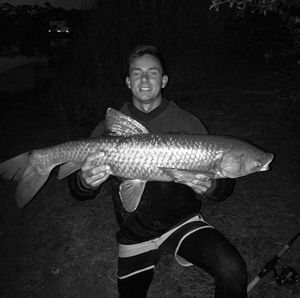 Grass Carp