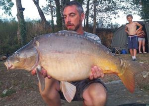 Mirror Carp