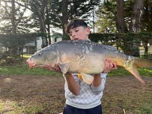 Mirror Carp