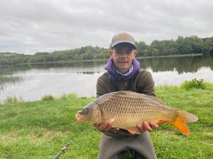 Common Carp
