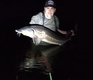 Sturgeon