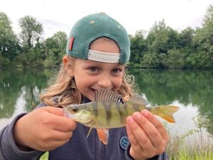 European Perch