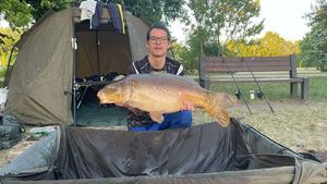 Mirror Carp