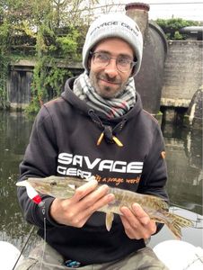 Northern Pike