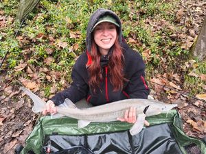 Sturgeon