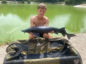 Sturgeon