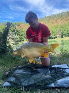 Mirror Carp