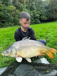 Mirror Carp