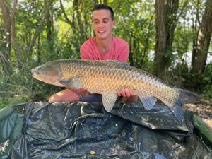 Grass Carp