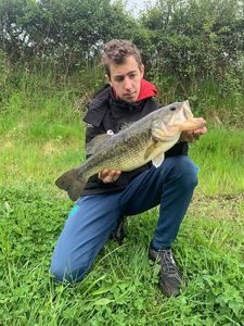 Smallmouth Bass