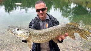 Northern Pike