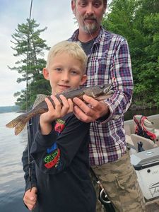 Sauger