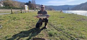 Barbel