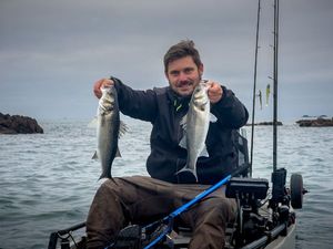European Bass (Seabass)
