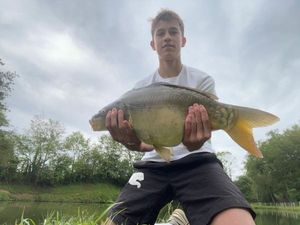Mirror Carp