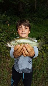 Smallmouth Bass