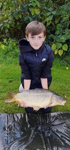 Common Carp