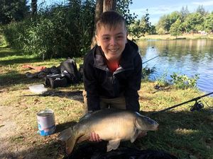 Mirror Carp