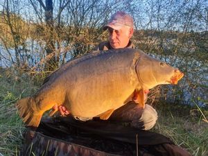 Mirror Carp