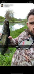 Zander