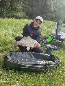 Crucian Carp