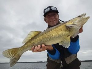 Zander